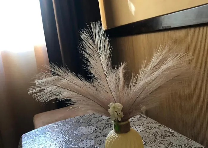 Center Apartment: Reliable Power In Heart Of *